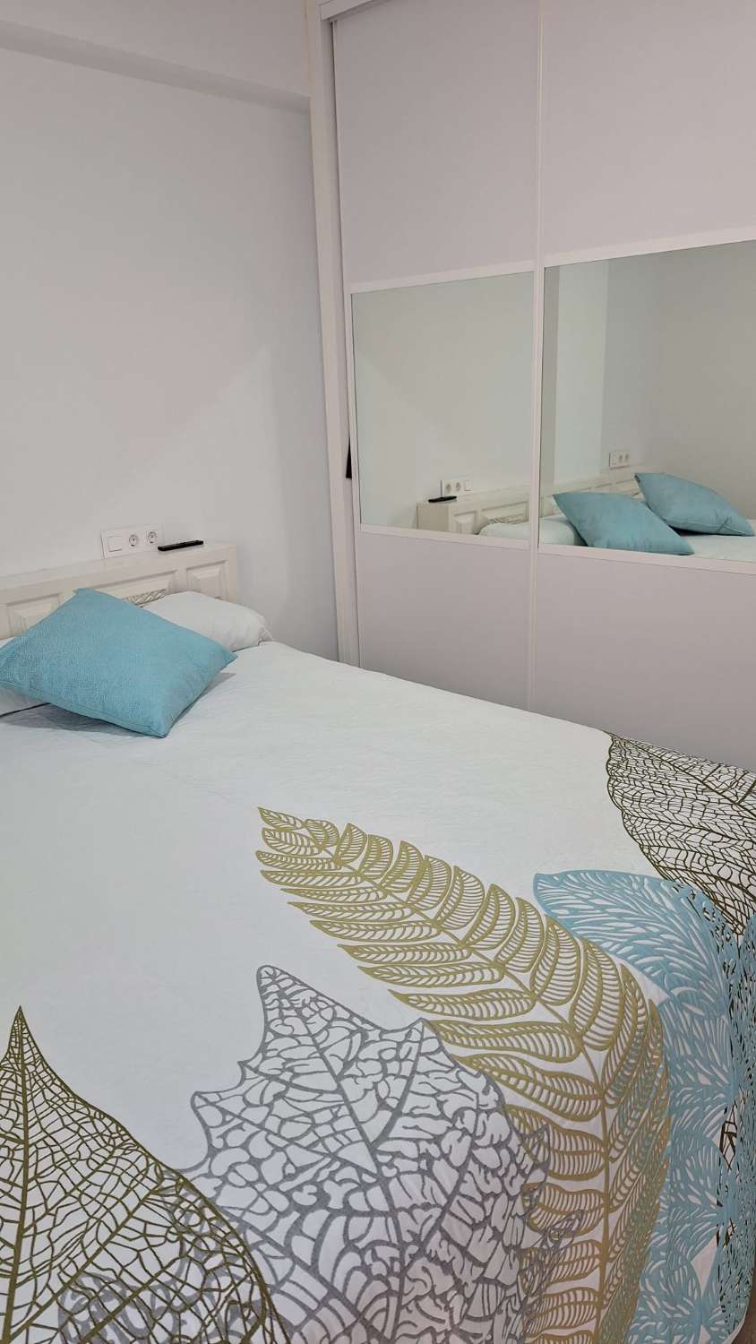 SE ALQUILA DESDE 30/11/26 HASTA 28.03.27  MAGNIFICO APARTAMENTO EN 1ª LINEA CON PRECIOSAS VISTAS AL MAR EN FUENGIROLA