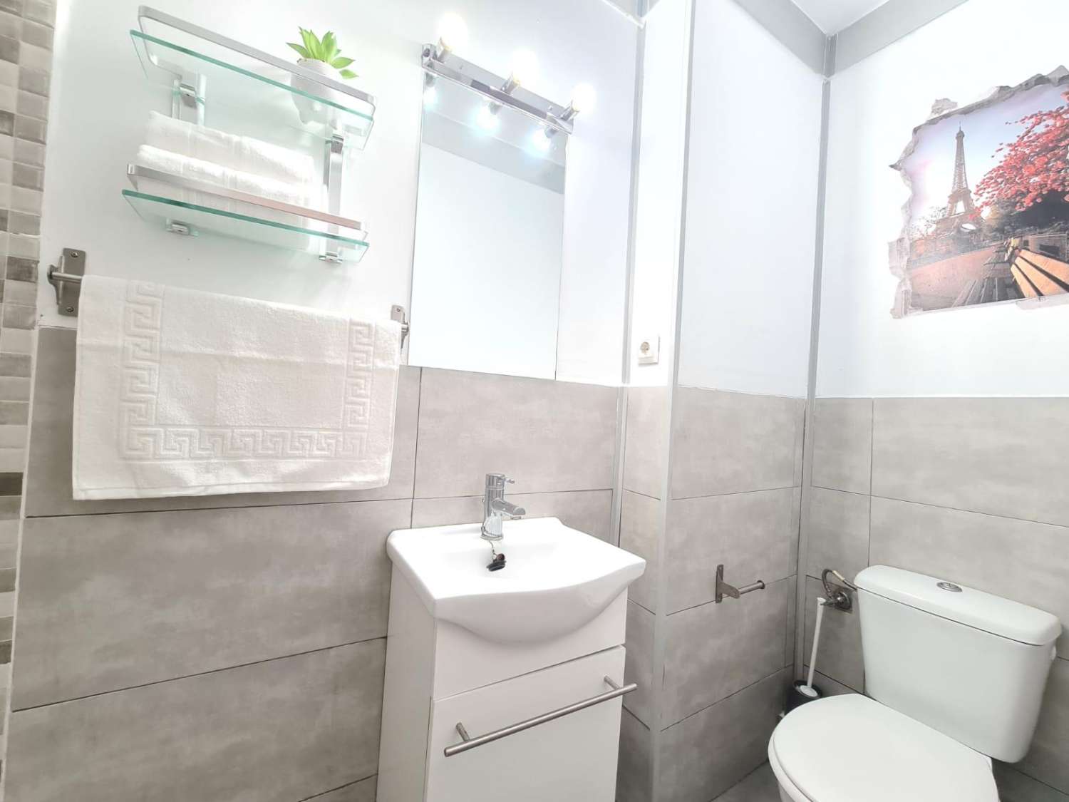 SE ALQUILA POR LARGA TEMPORADA  BONITO ESTUDIO EN ARROYO DE LA MIEL (BENALMADENA)