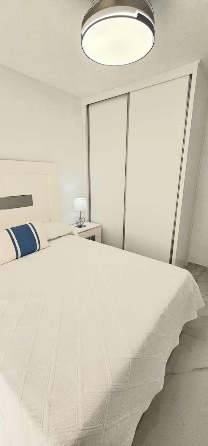 LARGA TEMPORADA, DESDE 01/03/2027 SE ALQUILA PRECIOSO APARTAMENTO FRONTAL AL MAR EN FUENGIROLA