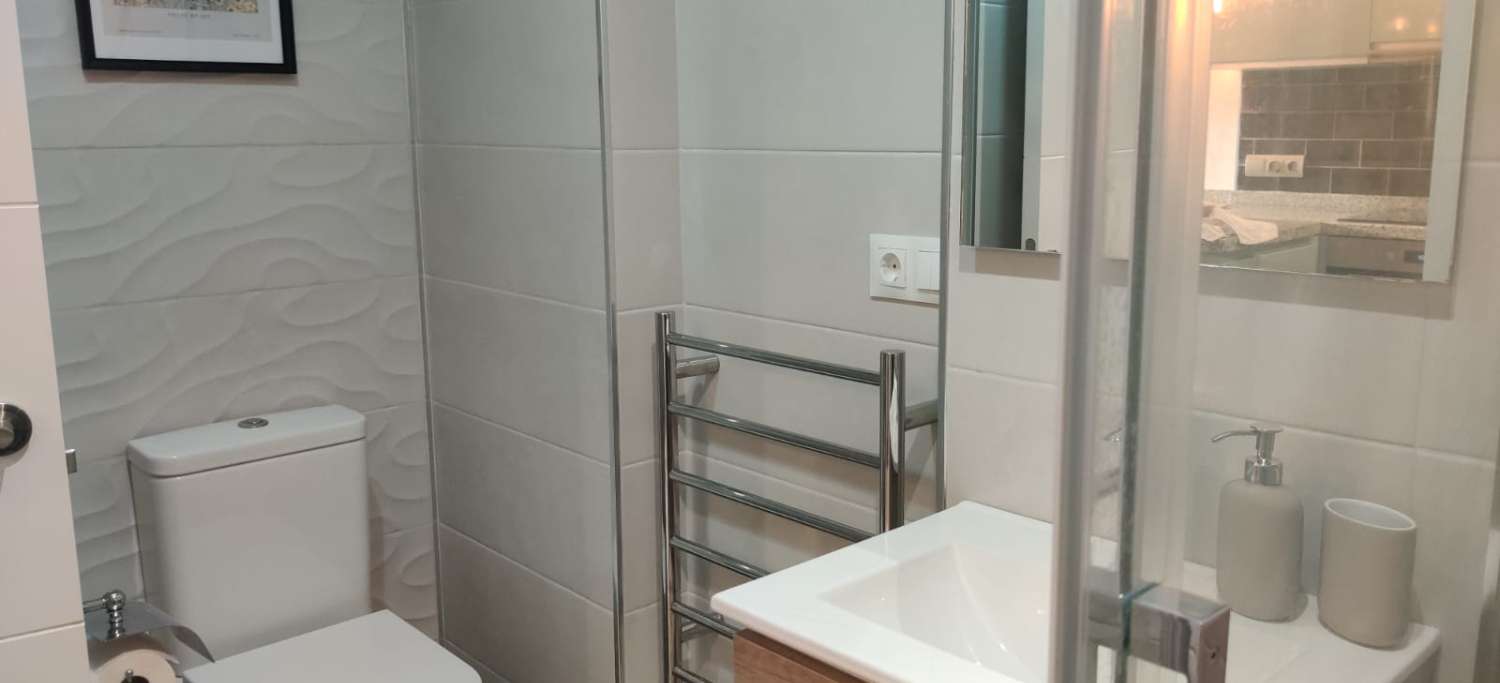 SE ALQUILA DESDE 01/11/2026- 01/02/2027 bonito estudio en Benalmadena.
