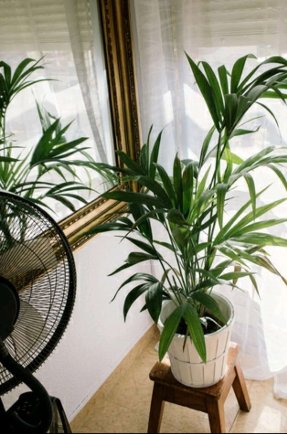 Se alquila  bonito estudio con vistas al mar hasta 30/06/2026 y desde 01/09/2026 hasta 30/06/2027 en Arroyo de la Miel